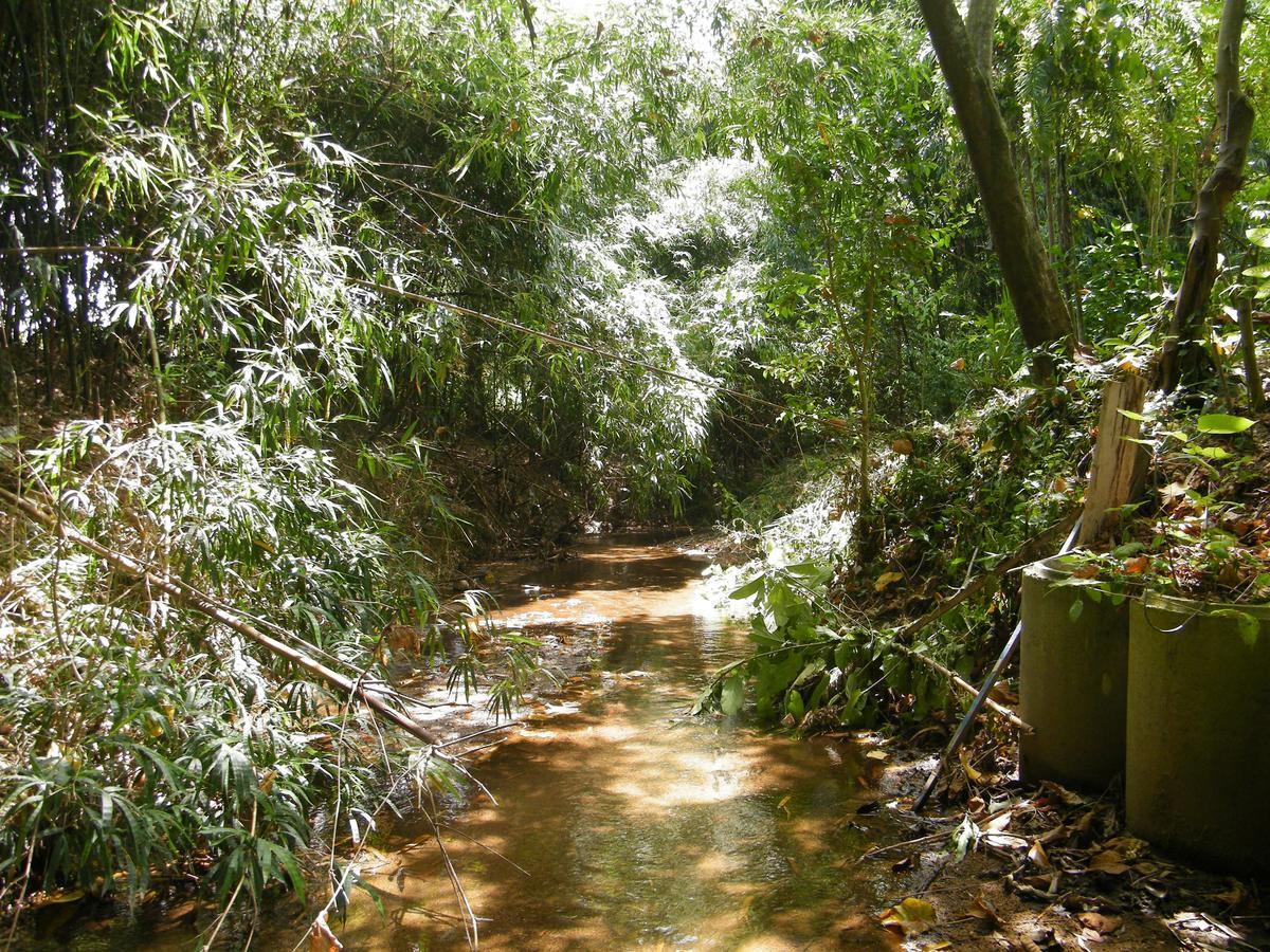 Ya Teng Homestay Ban Tha Sai Εξωτερικό φωτογραφία
